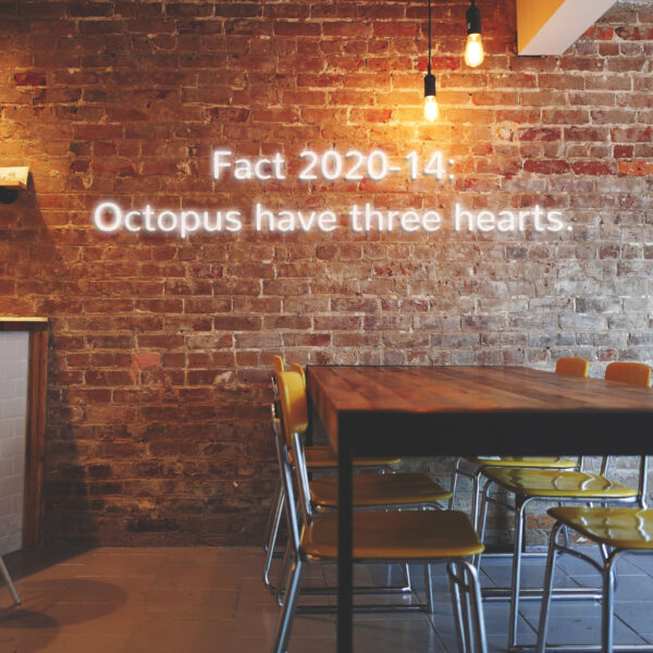POETIC FACTS - 2020-14