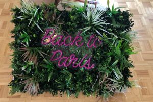 Néon Flex « Back to Paris » en rose, sur un mur végétal